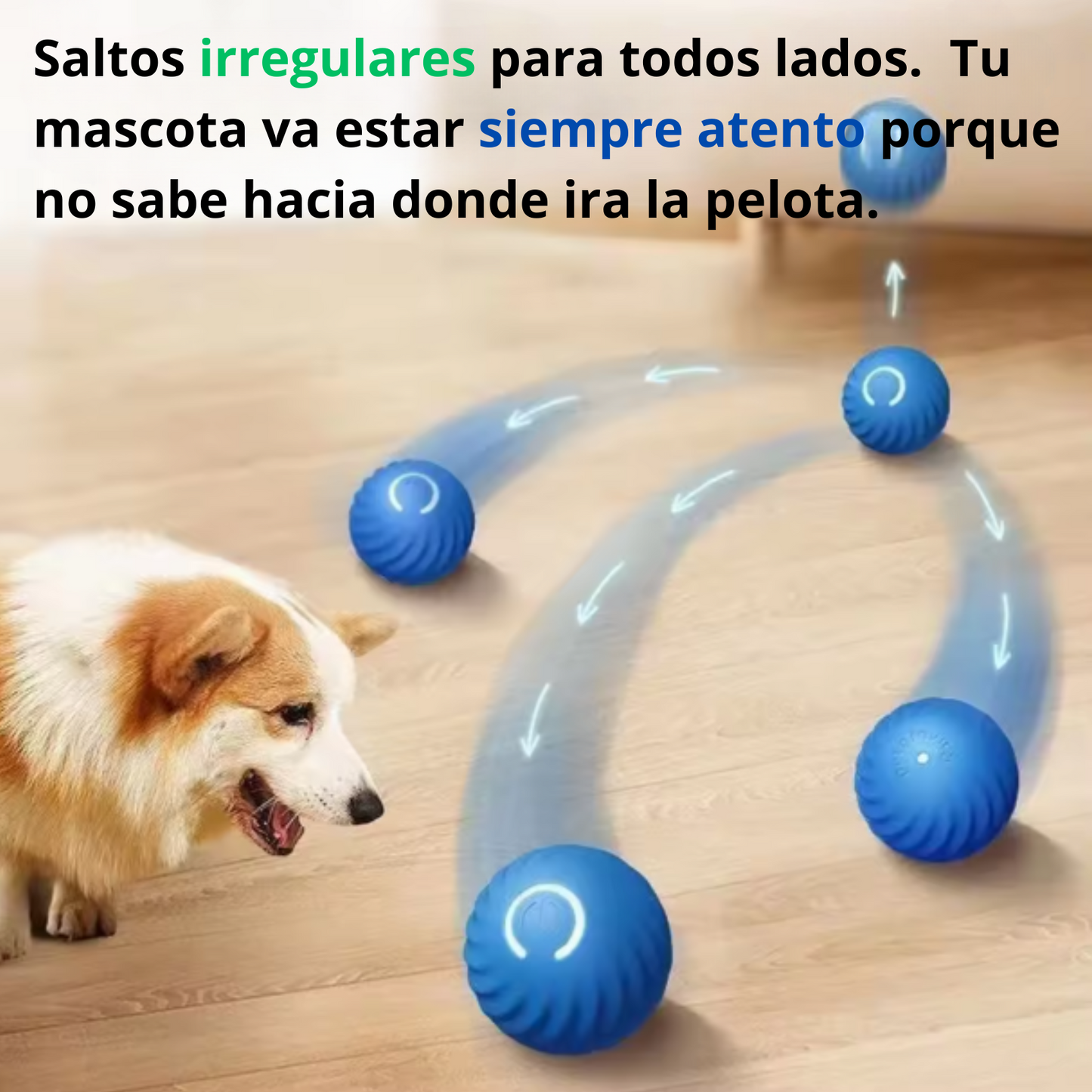 Pelota Inteligente para Mascotas: Diversión y Ejercicio Sin Límites