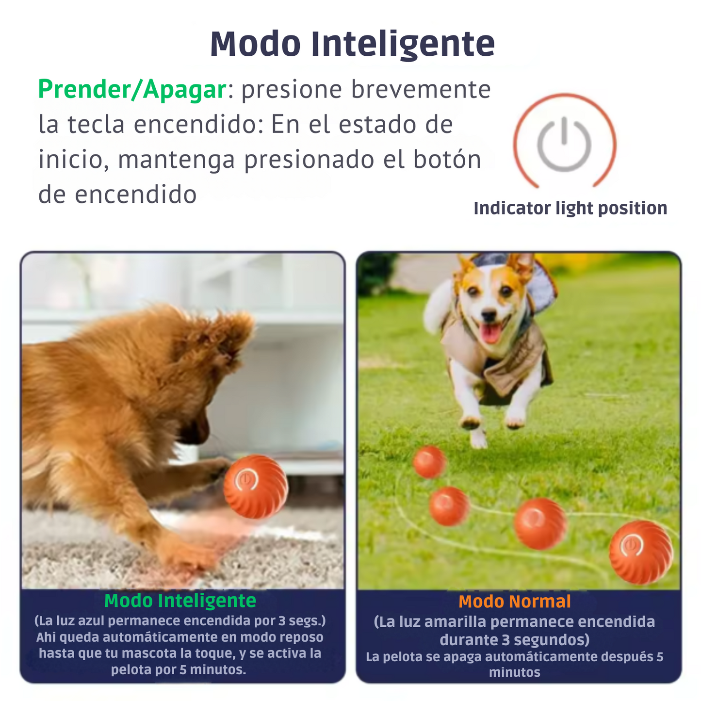 Pelota Inteligente para Mascotas: Diversión y Ejercicio Sin Límites