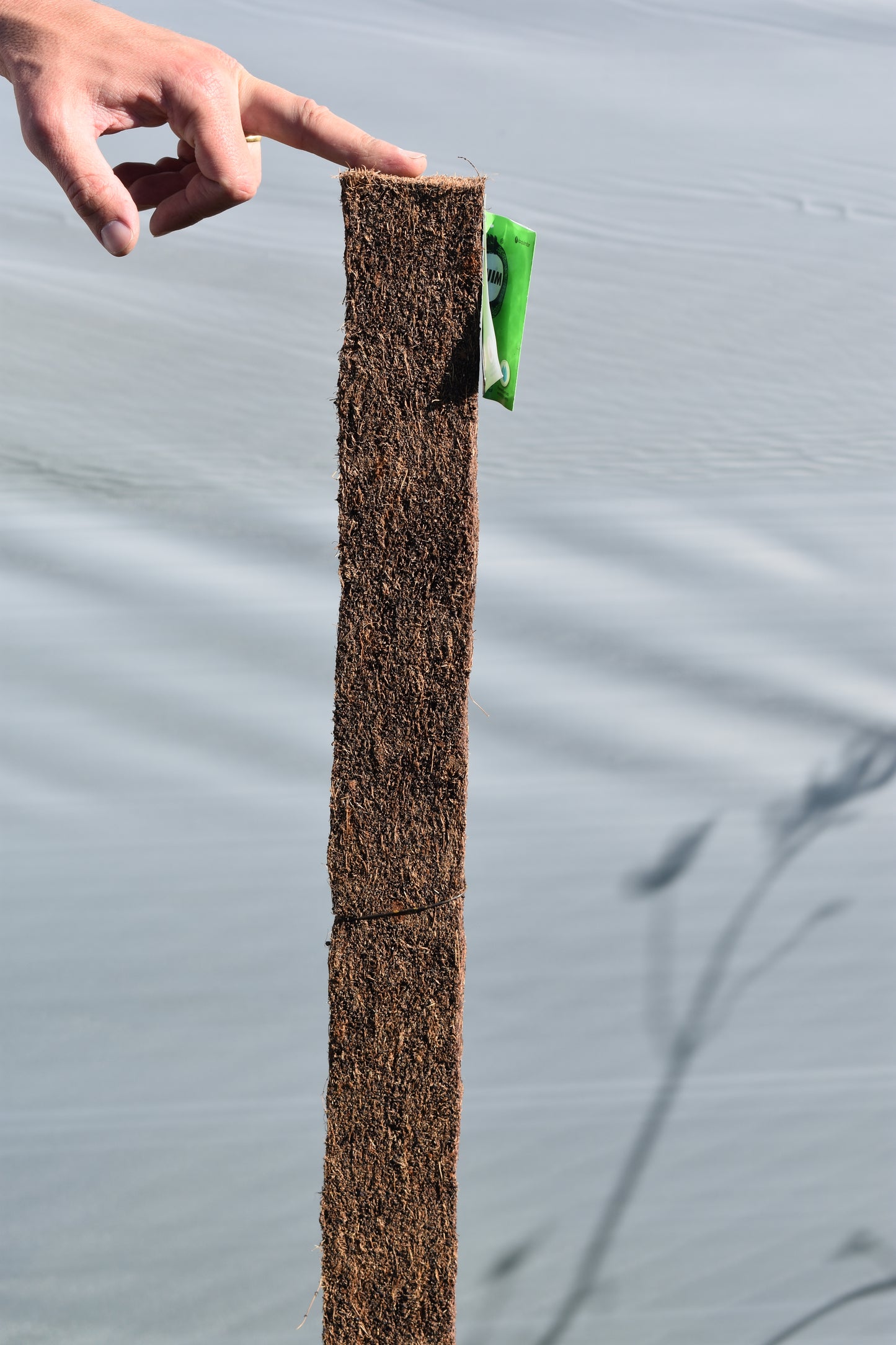 Tutor Para Plantas De Fibra De Coco, Da El Mejor Agarre